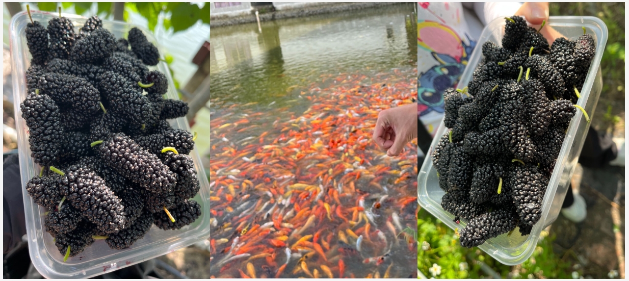 微信截圖_20240428142644